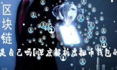 虚拟币平台钱包是自己吗？深度解析虚