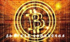 虚拟币开发系统：全面指南与实用技术
