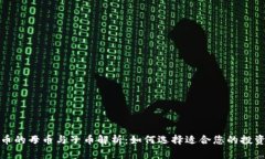 虚拟币的母币与子币解析：如何选择适