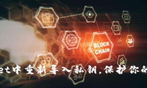 如何在TPWallet中重新导入私钥，保护你的数字资产安全
