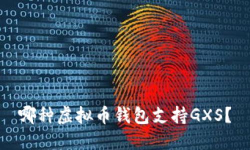 哪种虚拟币钱包支持GXS？