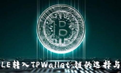 如何将FILE转入TPWallet:链的选择与操作指南