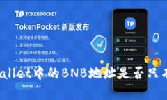 : TPWallet中的BNB地址是否只有一个？