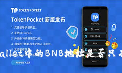 : TPWallet中的BNB地址是否只有一个?