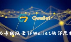 BNB币转账至TPWallet的详尽指南