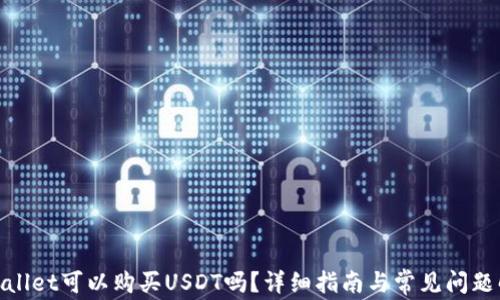 tpwallet可以购买USDT吗?详细指南与常见问题解答