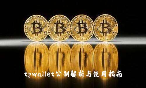 tpwallet公钥解析与使用指南