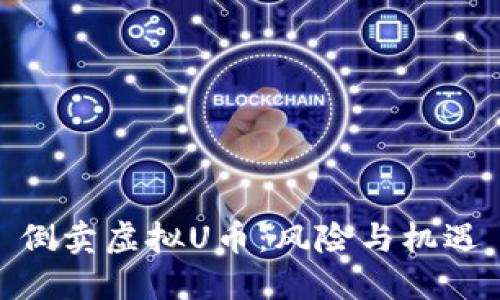倒卖虚拟U币:风险与机遇