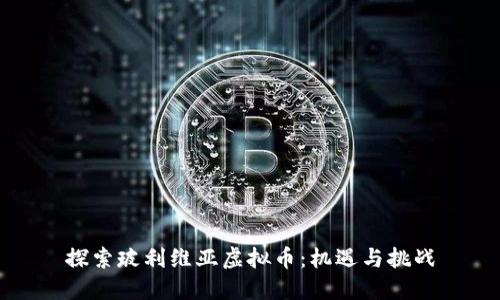 探索玻利维亚虚拟币：机遇与挑战