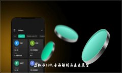 虚拟币IDV：全面解析与未来展望