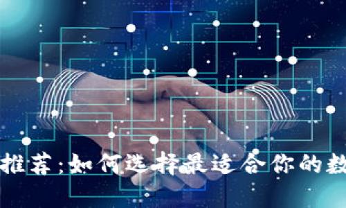 虚拟币钱包推荐：如何选择最适合你的数字货币钱包