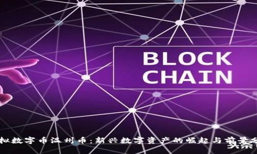 虚拟数字币温州币：新兴数字资产的崛起与前景分析